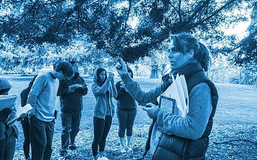 Teaching Plant ID