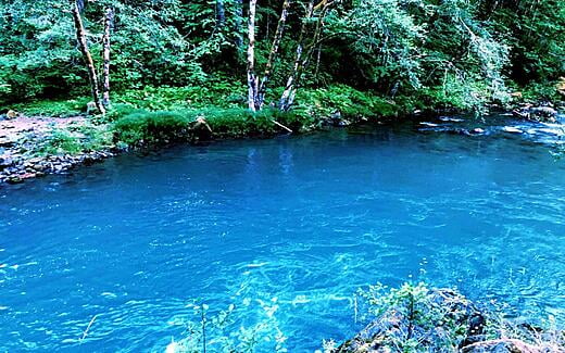 Cispus River